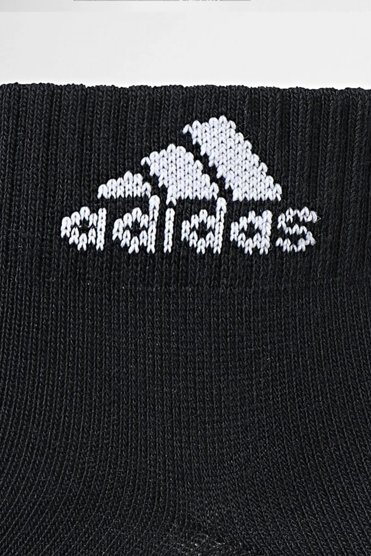 1000137469 - Image 3