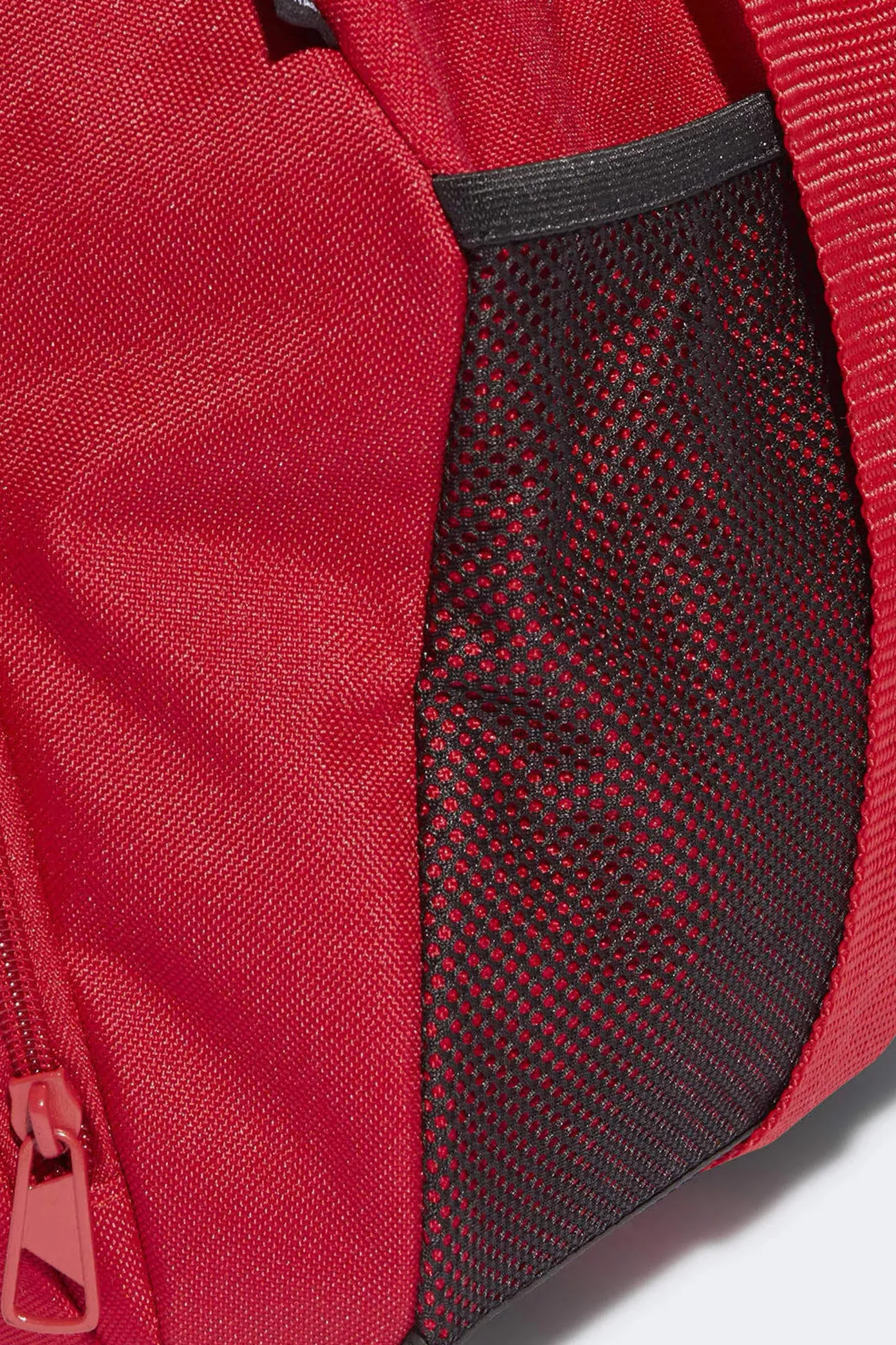 1000144885 - Image 4