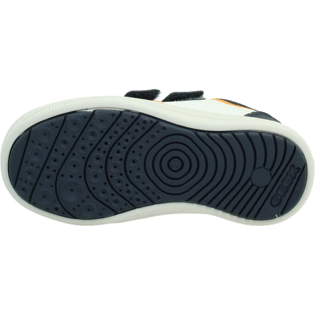 1000146559 - Image 6